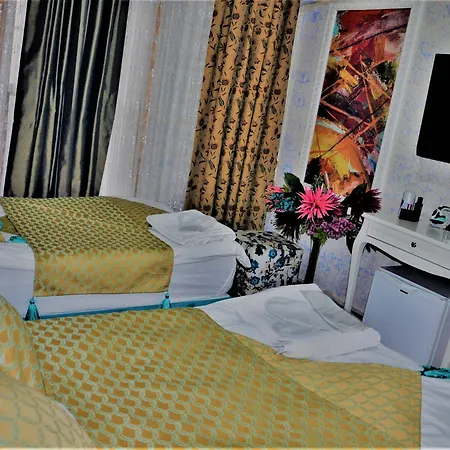 Hotel The Trip Old