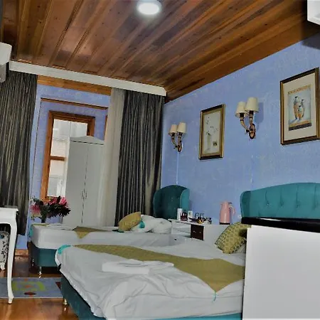 The Trip Old Istambul