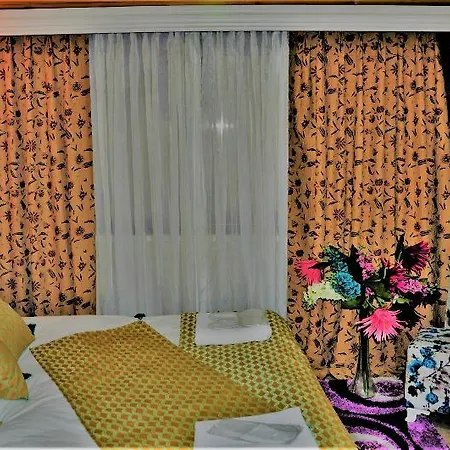 The Trip Old Istambul