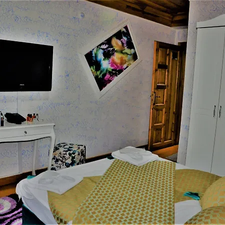 Hotel The Trip Old Istanboel