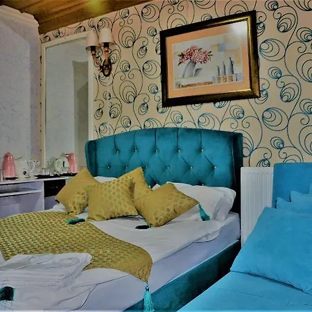 The Trip Old Hotel Istanboel