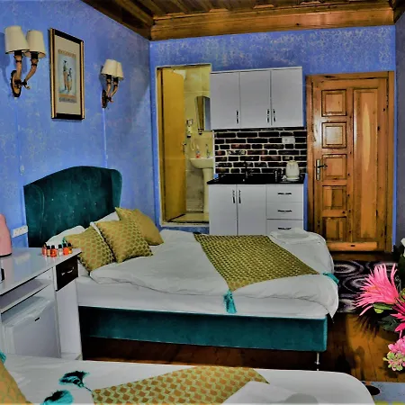 The Trip Old Provincia di Istanbul