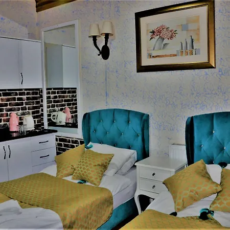 Hotel The Trip Old Provincia di Istanbul