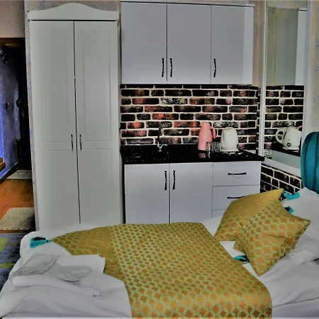 The Trip Old Hotel Provincia di Istanbul