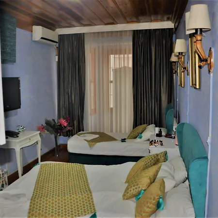 Hotel The Trip Old 3*