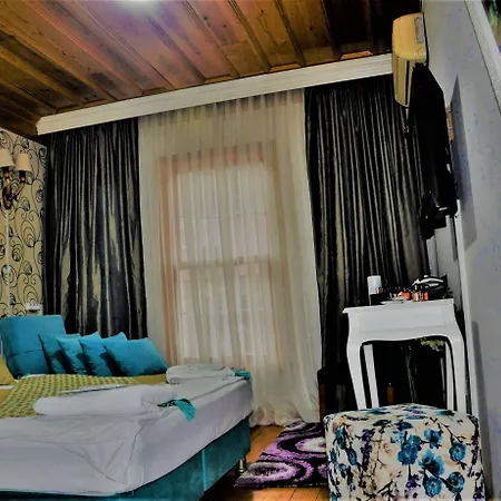 Hotel The Trip Old Provincia di Istanbul