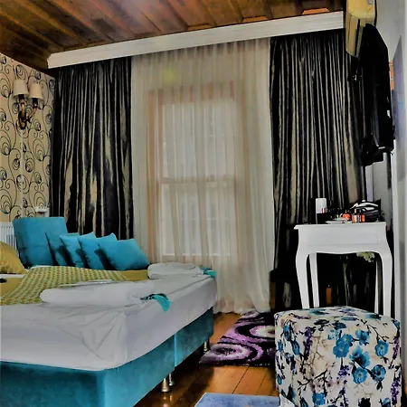 The Trip Old Hotel Provincia di Istanbul