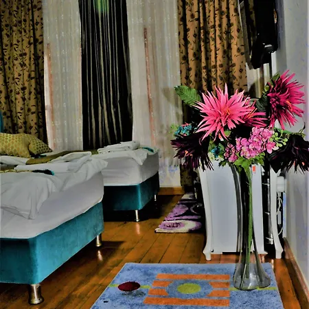 The Trip Old Provincia di Istanbul