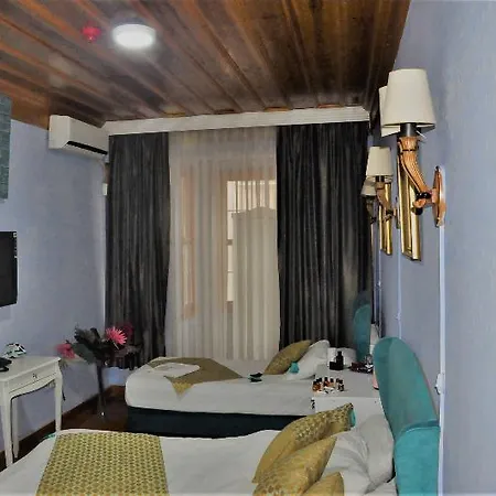 The Trip Old 3* Provincia di Istanbul