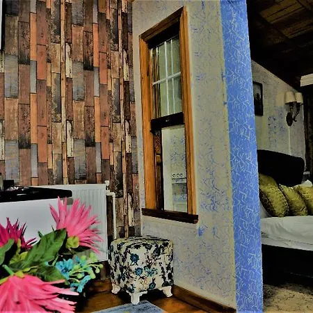 Hotel The Trip Old 3*