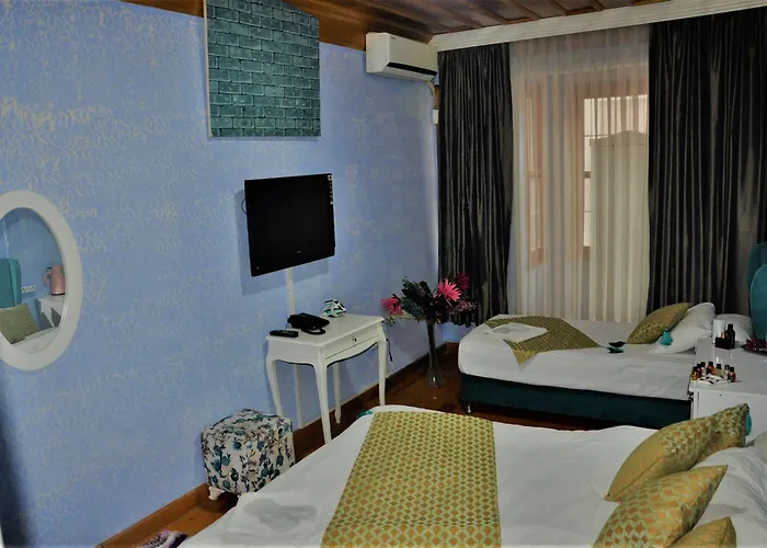 The Trip Old 3* 이스탄불