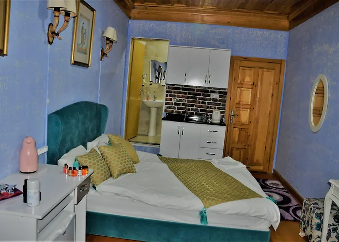 The Trip Old 호텔 이스탄불