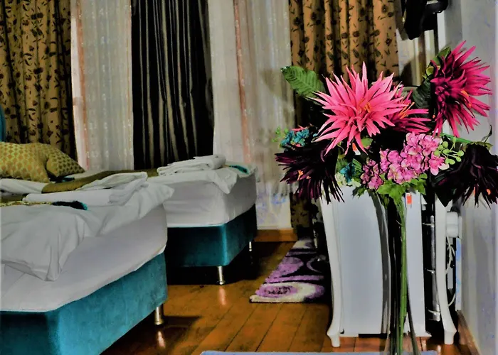 The Trip Old 이스탄불