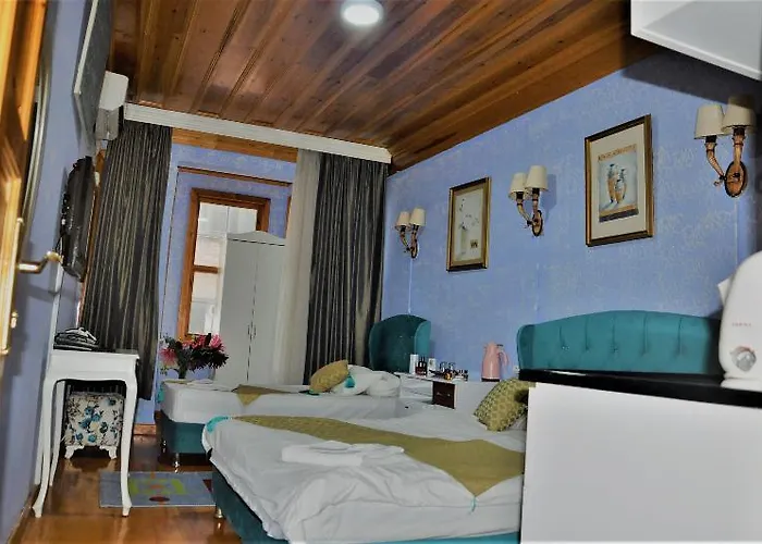 The Trip Old 이스탄불